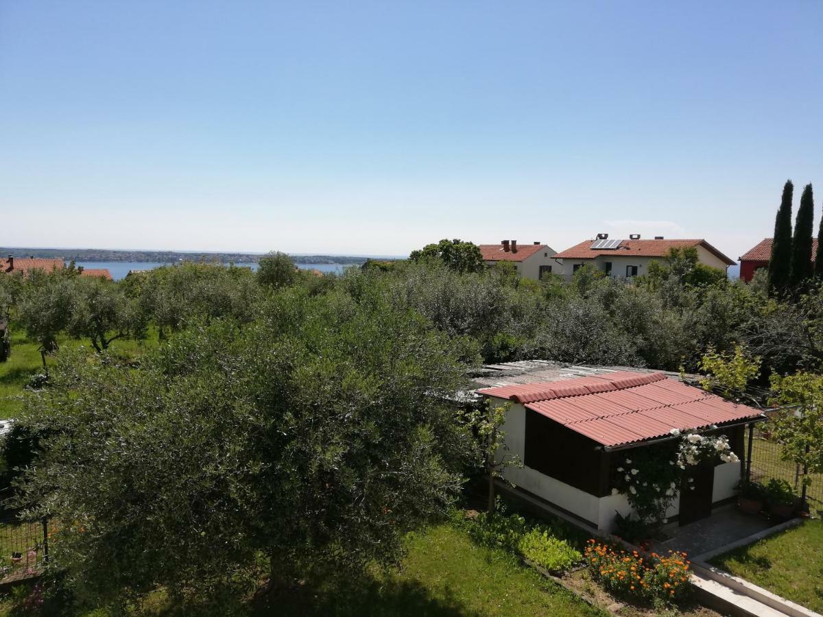 Apartma Iva Пиран Экстерьер фото